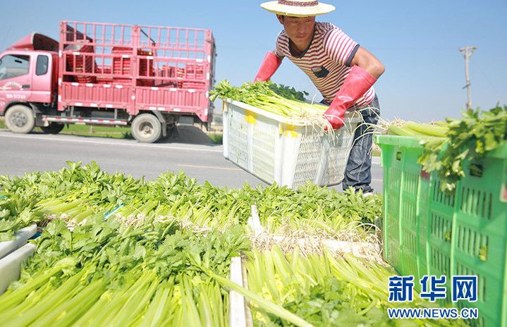 当前经济形势述评之一：把握积极变化势头 确保供给侧改革深化