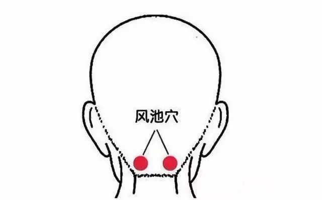 节气养生丨处暑至,季节交替时,学点规矩保健康(图3) 节气养生丨处暑至,季节交替时,学点规矩保健康(图3)