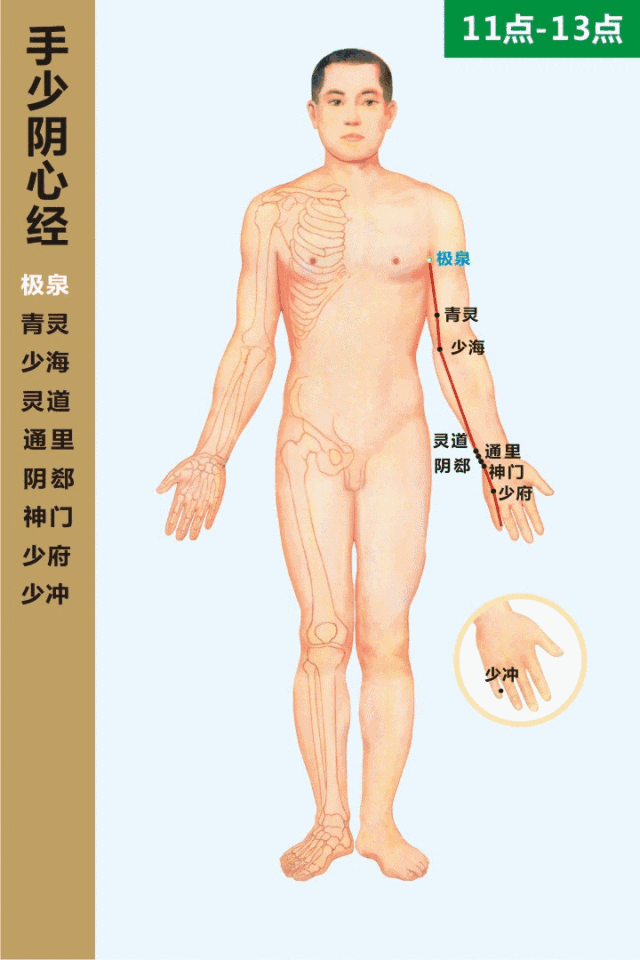 十四经络动态循行图（收藏版）(图25)