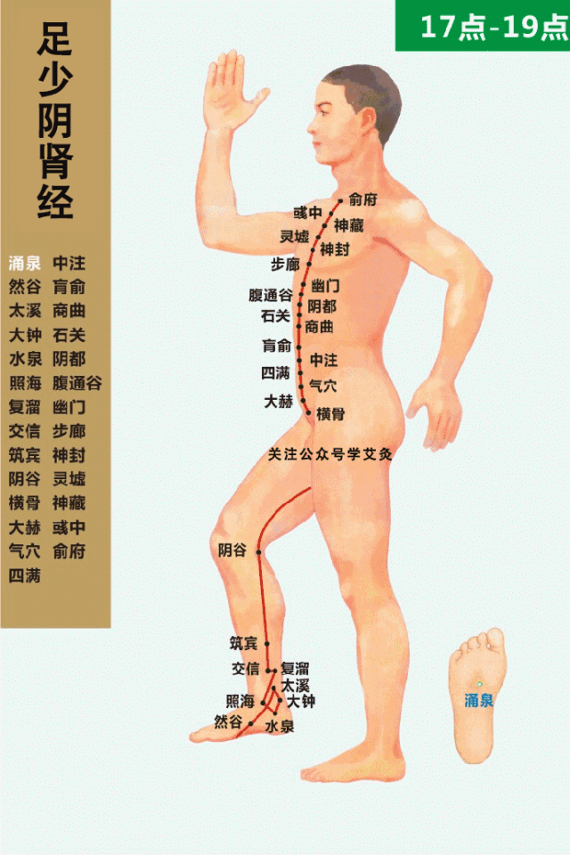 十四经络动态循行图（收藏版）(图37)