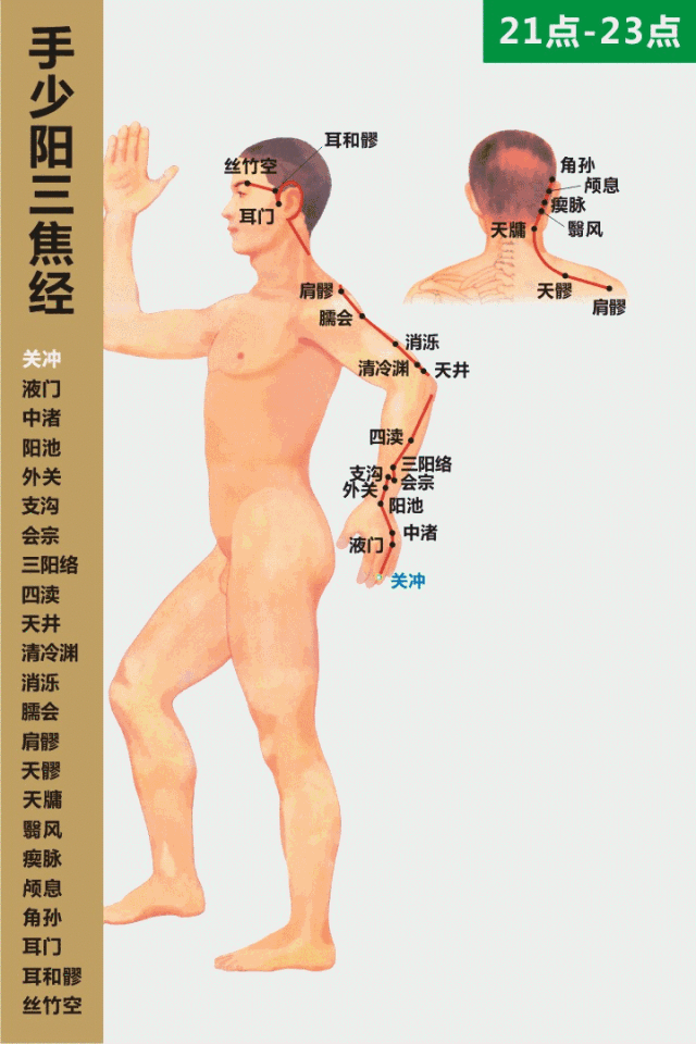 十四经络动态循行图（收藏版）(图45)